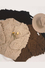 Tw2015_flat-2-_website_resize