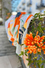 Basc8066_green_orange02